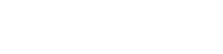 Primary Raster logo
